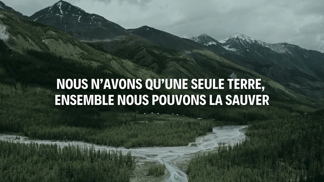 La déforestation à découvert : Explorer les conséquences locales 