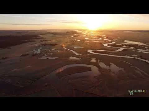 Bioróżnorodność naturalnych dolin rzecznych 