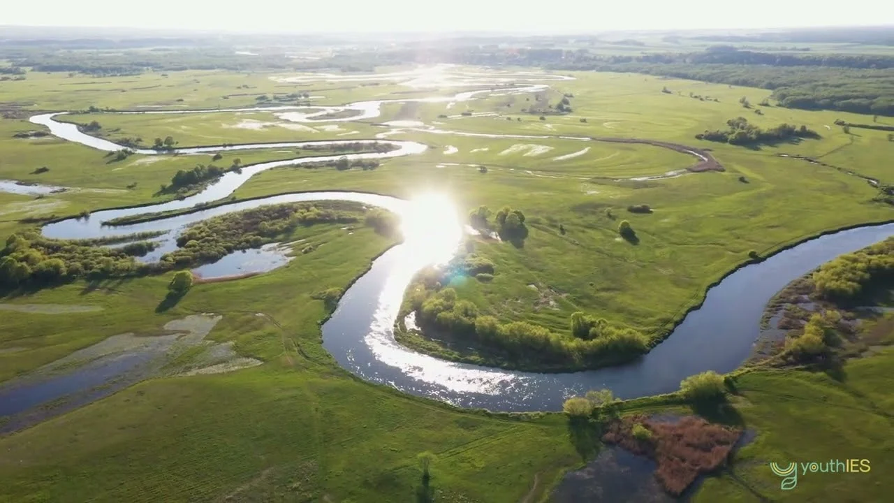 Splendeur saisonnière : Les couleurs des prairies de Narew 