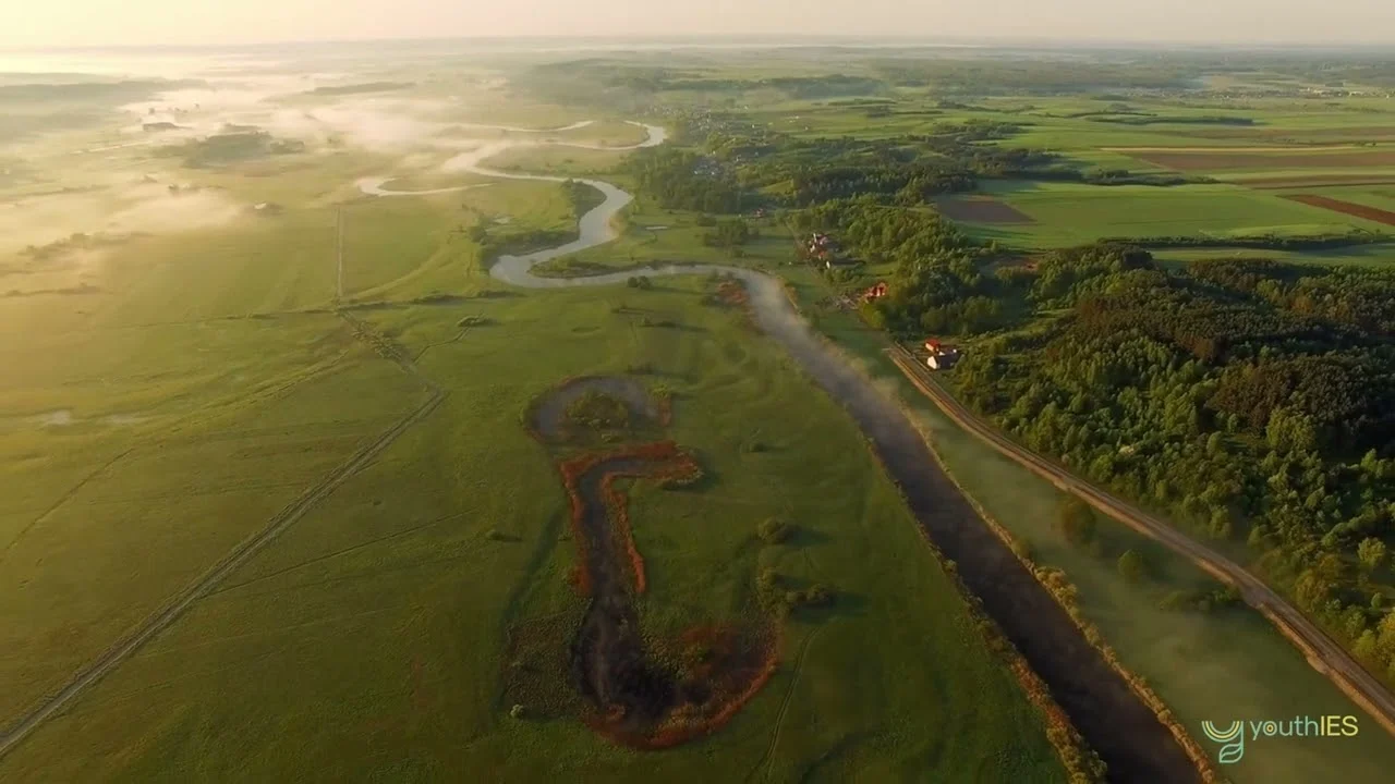 Bóbr: Strażnik siedlisk podmokłych 